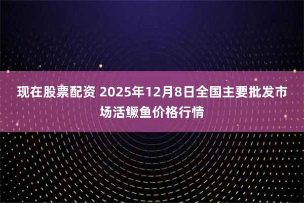 现在股票配资 2025年12月8日全国主要批发市场活鳜鱼价格行情